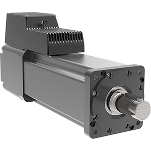 Tritex R2M/G AC Rotary Actuator